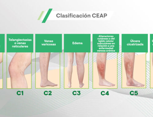 Animación 2D Dobesilato