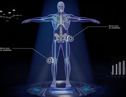 Animación 3D Ossopan