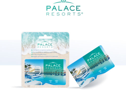 Diseño de tarjeta SIM Palace