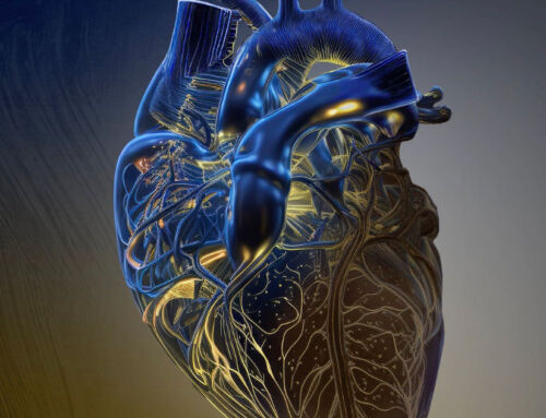 Animación 3D Corazón