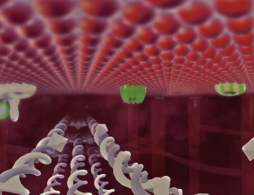 Realidad virtual para medicamento