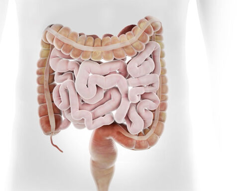 Video para producto farmacéutico probiótico